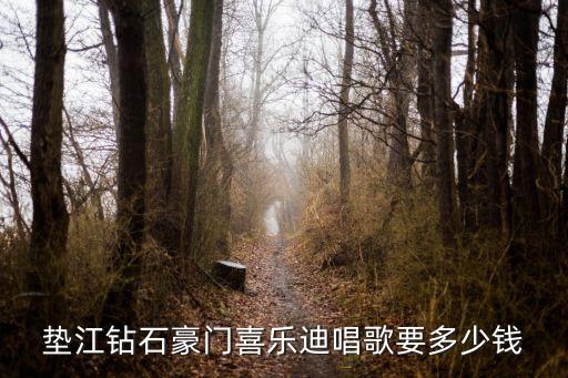 垫江钻石豪门喜乐迪唱歌要多少钱