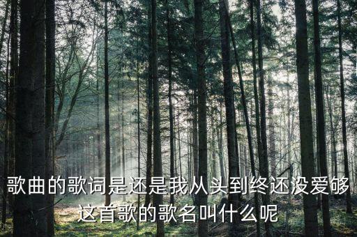 歌曲的歌词是还是我从头到终还没爱够这首歌的歌名叫什么呢