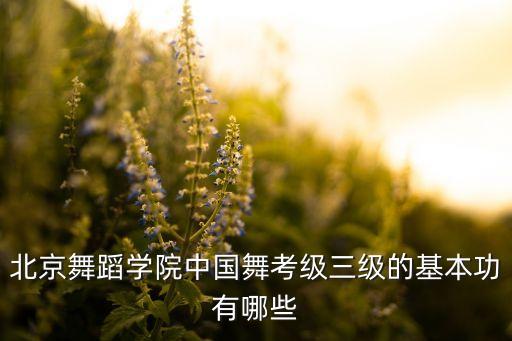 北京舞蹈学院中国舞考级三级的基本功有哪些