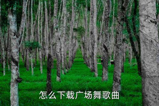 怎么下载广场舞歌曲
