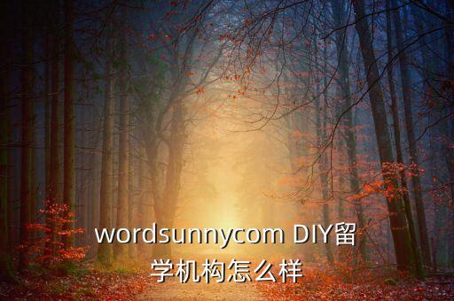 wordsunnycom DIY留学机构怎么样