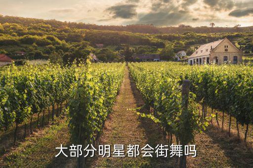 大部分明星都会街舞吗
