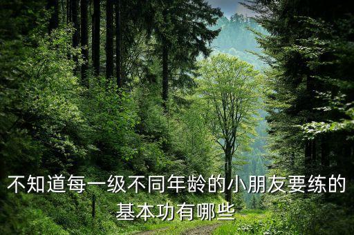 不知道每一级不同年龄的小朋友要练的基本功有哪些