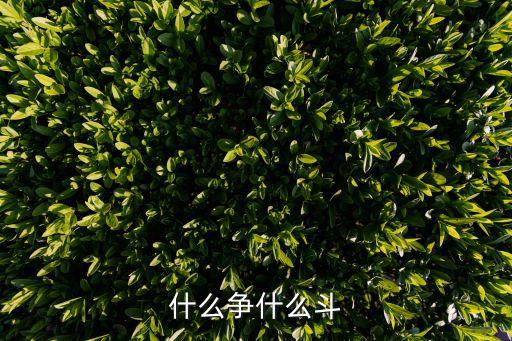 什么争什么斗