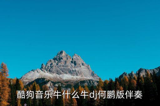酷狗音乐牛什么牛dj何鹏版伴奏