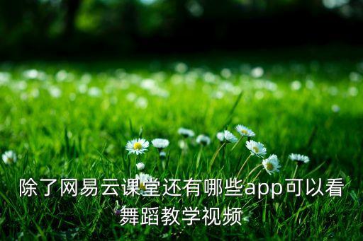 哪里可以看舞蹈视频，有哪些比较好的舞蹈视频网站
