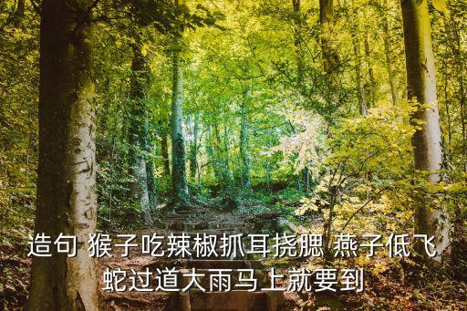 造句 猴子吃辣椒抓耳挠腮 燕子低飞蛇过道大雨马上就要到