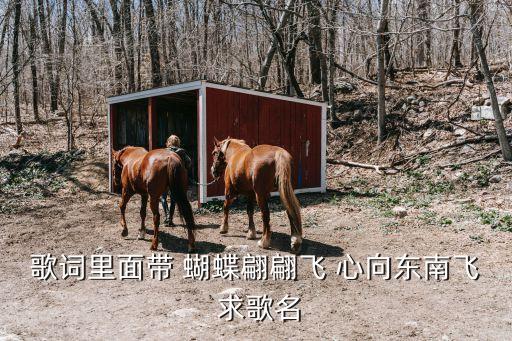 歌词里面带 蝴蝶翩翩飞 心向东南飞 求歌名