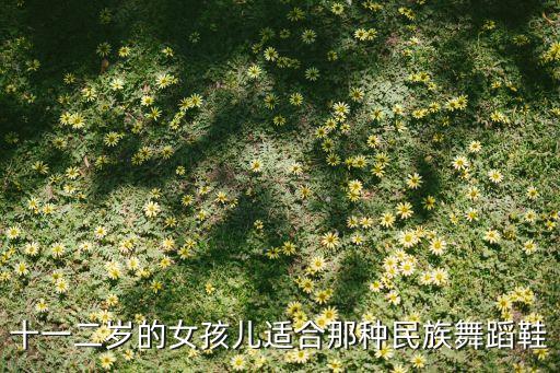十一二岁的女孩儿适合那种民族舞蹈鞋