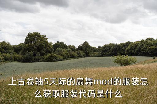 上古卷轴5天际的扇舞mod的服装怎么获取服装代码是什么