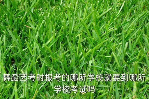 舞蹈艺考时报考的哪所学校就要到哪所学校考试吗