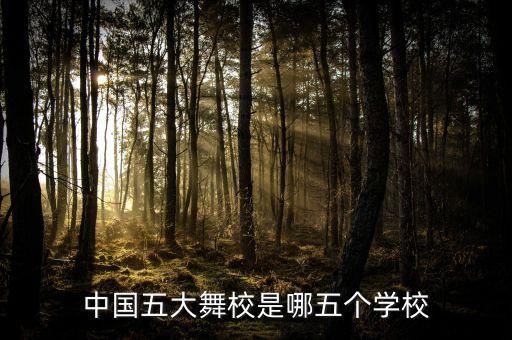 中国有什么舞蹈学校吗，中国五大舞校是哪五个学校