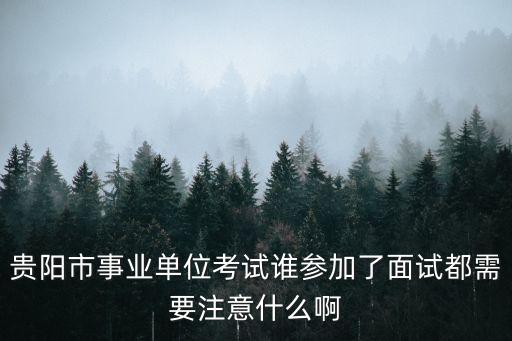 贵阳市面试，贵阳市事业单位考试谁参加了面试都需要注意什么啊