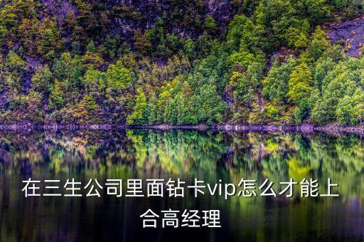 在三生公司里面钻卡vip怎么才能上合高经理