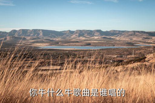 水宾舞牛什么牛，你牛什么牛出自于那首歌
