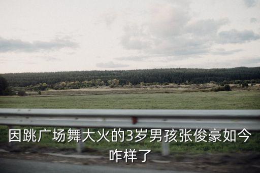 因跳广场舞大火的3岁男孩张俊豪如今咋样了