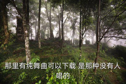 那里有纯舞曲可以下载 是那种没有人唱的