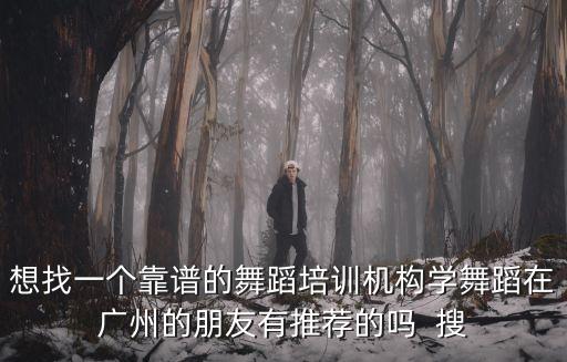 想找一个靠谱的舞蹈培训机构学舞蹈在广州的朋友有推荐的吗  搜
