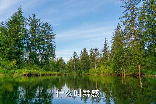 什么是舞蹈感觉，什么是舞感 谁能告诉我