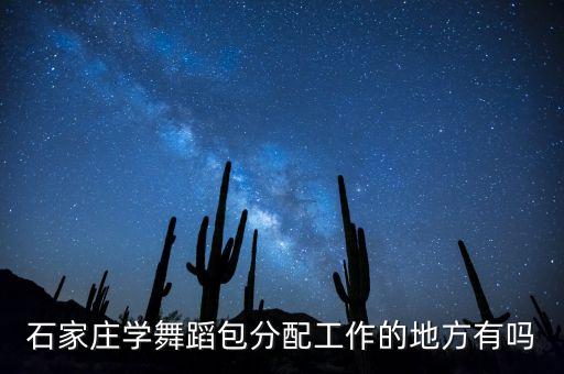 石家庄学舞蹈包分配工作的地方有吗