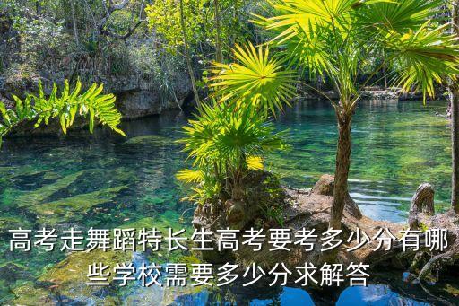 高考走舞蹈特长生高考要考多少分有哪些学校需要多少分求解答