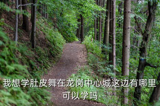 我想学肚皮舞在龙岗中心城这边有哪里可以学吗