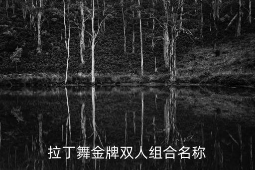 拉丁舞金牌双人组合名称
