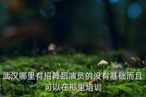 武汉哪里有招舞蹈演员的没有基础而且可以在那里培训
