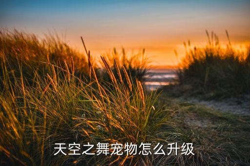 天空之舞宠物怎么升级