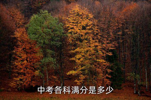 中考各科满分是多少
