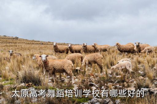 太原市久东舞蹈怎么样，太原高考舞蹈培训学校有哪些好的