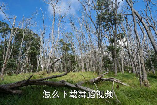 怎么下载舞蹈视频