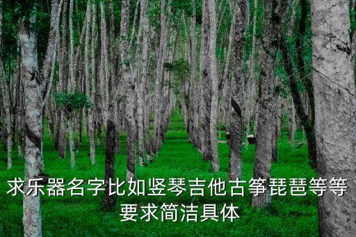 求乐器名字比如竖琴吉他古筝琵琶等等 要求简洁具体