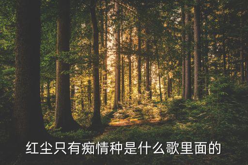 红尘只有痴情种是什么歌里面的
