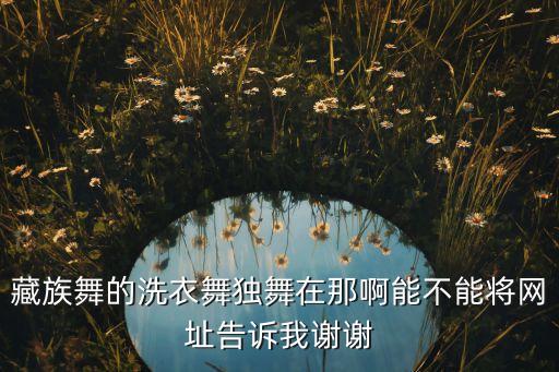 藏族舞的洗衣舞独舞在那啊能不能将网址告诉我谢谢