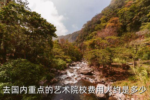 去国内重点的艺术院校费用大约是多少
