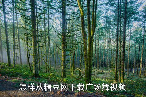 怎样从糖豆网下载广场舞视频