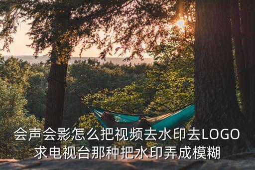 会声会影怎么把视频去水印去LOGO求电视台那种把水印弄成模糊