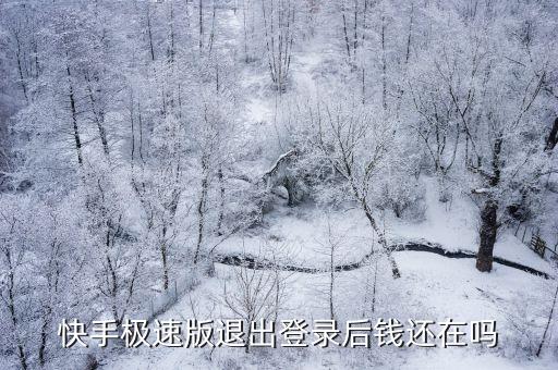 快手极速版退出登录后钱还在吗