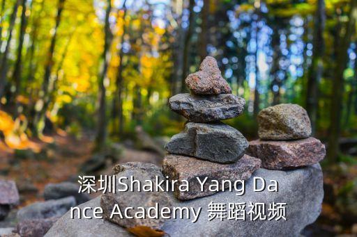 深圳Shakira Yang Dance Academy 舞蹈视频