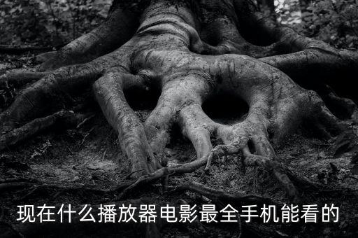 现在什么播放器电影最全手机能看的