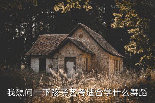 我想问一下孩子艺考适合学什么舞蹈