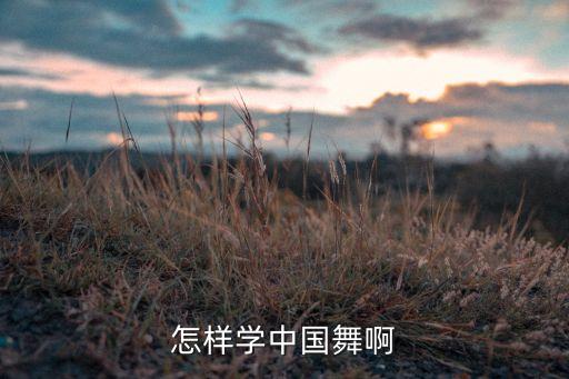 怎样学中国舞啊