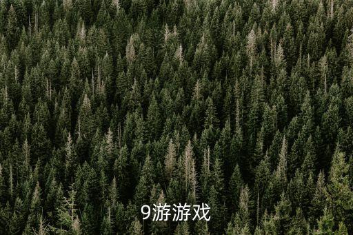 9游游戏