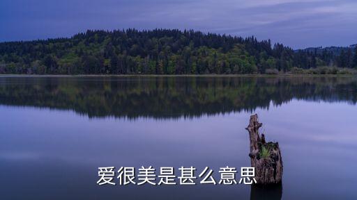 爱很美歌词表达意思是什么意思，爱很美是甚么意思