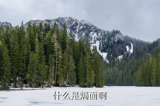 什么是焗面啊