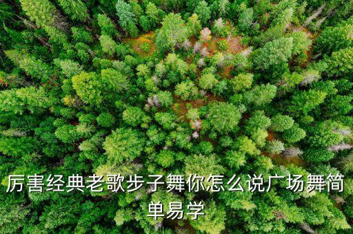 广场舞你怎么说舞曲免费下载，厉害经典老歌步子舞你怎么说广场舞简单易学
