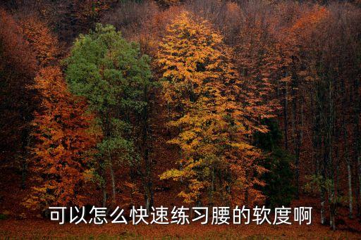 可以怎么快速练习腰的软度啊