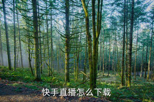 快手直播怎么下载
