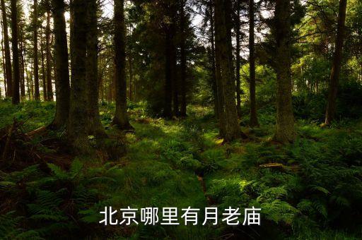 北京哪里有月老庙